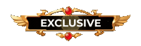 Exclusive Exclusive