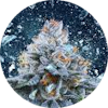 Avatar: FrostyNugs